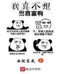 我真不想当首富txt封面