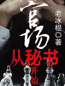 官场秘shi封面