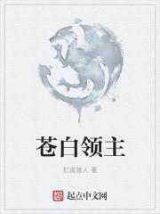 苍白领主强化封面