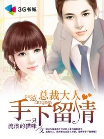 总裁大人请留步封面